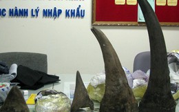 Phát hiện hơn 13kg sừng tê giác nhập lậu vào Việt Nam