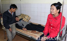 Đình chỉ thầy giáo tát học sinh thủng màng nhĩ