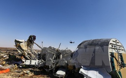 Nga xác định các nhóm đứng sau vụ nổ máy bay A321 ở Ai Cập