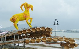 Đà Nẵng: Đường hoa xuân Bạch Đằng rực rỡ chờ giờ khai hội