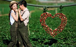 Chuyện tình bất ngờ tới khó tin của cặp đôi "chú-cháu"