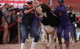 Những cuộc thi Hoa hậu kỳ lạ nhất Việt Nam