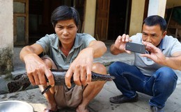 Quảng Nam: Người dân đánh lưới được “cá lạ”