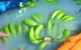 Bộ trưởng Cao Đức Phát: "Tôi thấy lạnh xương sống"