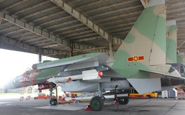 Việt Nam sắp có thêm trung đoàn Su-30