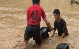 Cảnh báo mưa rất to trong vài giờ tới