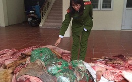 Hãi hùng phát hiện cả tấn lợn chết bày bán giữa chợ