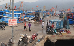 Trộm cắp, bảo kê ở cảng cá Đà Nẵng