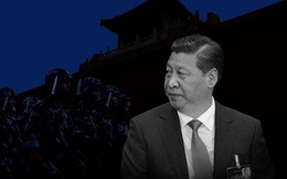 Hàng loạt cấp dưới của Tập Cận Bình xin từ chức vì "quá khó sống"