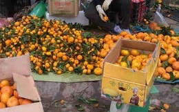 Tiết lộ sốc của người đi buôn hoa quả Trung Quốc 15 năm