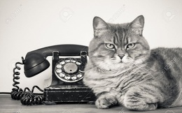 Điểm lại những thí nghiệm vô cùng rùng rợn nhưng cũng có phần đột phá trong lịch sử khoa học thế giới