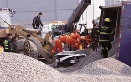 Cặp đôi mới cưới chết thảm vì tai nạn "trên trời rơi xuống"