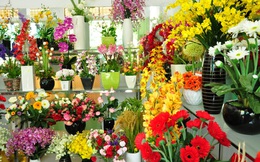 Đắt đến mấy cũng nên mua thêm hoa này đặt trong nhà ngày Tết, tài lộc rủng rỉnh cả năm