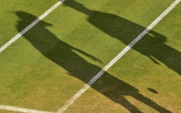 Sốc với số trận tennis "có mùi"
