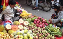 Chuyên gia Phạm Chi Lan: Hoa quả Trung Quốc với thuế 0% có thể làm phức tạp thị trường Việt Nam!