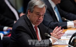 HĐBA chính thức đề cử ông Antonio Guterres làm Tổng thư ký LHQ