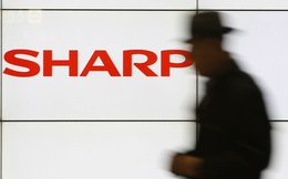 Sharp và cái kết bi thảm của một tượng đài