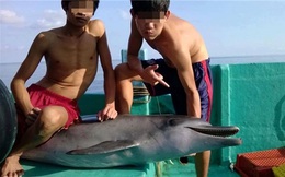 Hình ảnh nhóm thanh niên bắt và giết cá heo khiến dân mạng Việt bức xúc