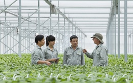 Vingroup chi 300 tỷ cho nông nghiệp