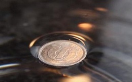Tròn mắt trước trò ảo thuật siêu thú vị: làm đồng xu nổi lên trên mặt nước