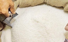 Đề xuất duy trì thuế nhập khẩu đường 5%