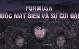 Đâu chỉ có Formosa? Hãy nhìn thẳng vào những chuyện "đúng quy trình" đáng sợ ở Việt Nam