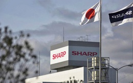 Cuối cùng Sharp cũng đã 'được mua' với giá rẻ hơn tới 1 tỷ USD