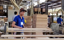 Trung Quốc tăng nhập khẩu gỗ nguyên liệu từ Việt Nam