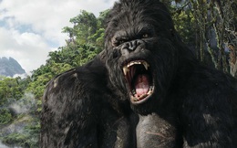 Bị ảnh hưởng, NSX phim Kong: Skull Island gửi thư tới truyền thông VN