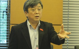 ĐBQH Trương Trọng Nghĩa: "Miễn xử hình sự" nguyên Phó Chủ tịch Hà Nội là không đúng