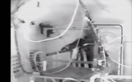 Một phi hành gia từng suýt chết trong thử nghiệm lên Mặt Trăng của NASA