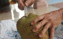 Mẹo phân biệt hoa quả chín cây hay chín thuốc