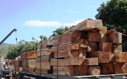 Mỹ, Trung Quốc vượt Lào về xuất gỗ vào Việt Nam