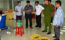 Đột kích xưởng sản xuất, phát hiện 70 kg tôm bơm tạp chất
