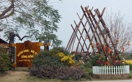 Hà Nội chỉ đạo xử lý nghiêm vi phạm đất đai ở quận Tây Hồ
