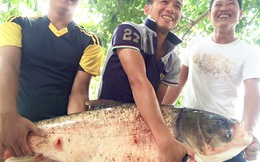 Đi săn cá “khủng”