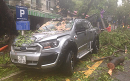 2 ô tô bị cây đổ đè trúng ở Hà Nội