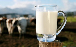 Thương nhân Trung Quốc muốn bán sữa Úc với giá gấp 15 lần