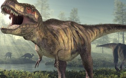 Dù nhỏ bé nhưng loài khủng long này từng thống trị cả thời tiền sử vì quá thông minh