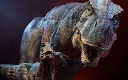Hồi sinh khủng long bạo chúa nhờ hóa thạch 68 triệu năm?