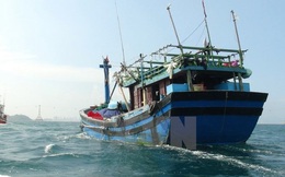 Tàu cá ngư dân Quảng Ngãi lại bị "tàu lạ" rượt đuổi, đâm vỡ