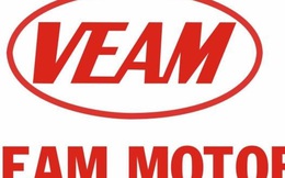 VEAM có gì để BRG của bà Nguyễn Thị Nga phải chi nghìn tỷ thâu tóm?