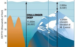 Rãnh Mariana sâu như thế nào: Lộn ngược đỉnh Everest nhét xuống vẫn chưa đến đáy