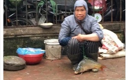 Chị hàng cá chia sẻ về bức ảnh buộc dây vào cá mang bán rong ở vỉa hè Hà Nội