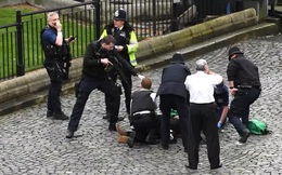 Nghị sĩ đảng Bảo thủ trở thành người hùng trong vụ tấn công trước nhà Quốc hội Anh