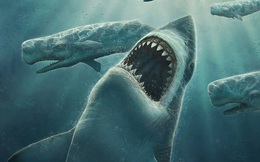 Không phải siêu cá mập Megalodon, đây mới là kẻ đầu tiên "thống trị" đại dương