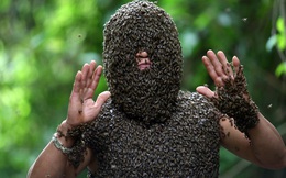 24h qua ảnh: Hàng nghìn con ong đậu kín mặt 'dị nhân' Việt Nam