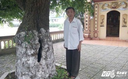 Video: Cận cảnh cây báu vật gần nghìn năm tuổi được đại gia trả giá chục tỷ đồng không bán ở Đồng Tâm