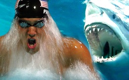 Siêu kình ngư Michael Phelps đua với cá mập trắng: Kẻ 8 lạng người nửa cân, ai thắng?