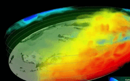 CO2 phát thải ồ ạt ra không khí, trồng cây không còn là "giải pháp vàng" cứu Trái Đất